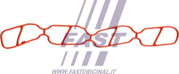 Fast FT49439 - Прокладка, впускной коллектор autosila-amz.com