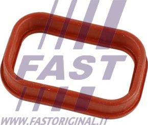 Fast FT49435 - Прокладка, впускной коллектор autosila-amz.com
