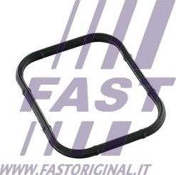 Fast FT49421 - Прокладка, впускной коллектор autosila-amz.com