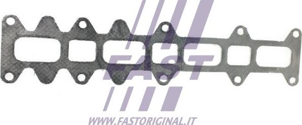 Fast FT49542 - Прокладка, выпускной коллектор autosila-amz.com