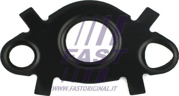 Fast FT49547 - Прокладка, масляный радиатор autosila-amz.com