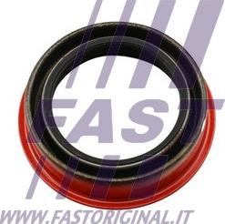 Fast FT49851 - Уплотняющее кольцо, дифференциал autosila-amz.com