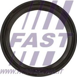 Fast FT49819 - Уплотняющее кольцо, коленчатый вал autosila-amz.com