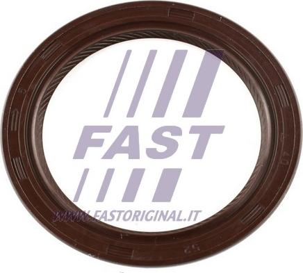 Fast FT49813 - Уплотняющее кольцо, дифференциал autosila-amz.com