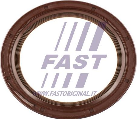 Fast FT49757 - Уплотняющее кольцо, дифференциал autosila-amz.com