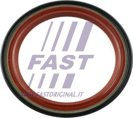 Fast FT49767 - Уплотняющее кольцо, дифференциал autosila-amz.com