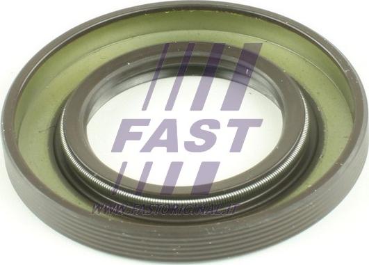 Fast FT49708 - Уплотняющее кольцо, дифференциал autosila-amz.com