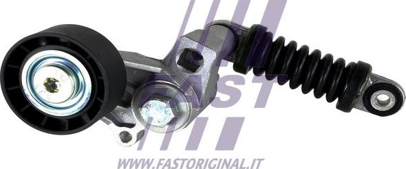 Fast FT44641 - Ролик, поликлиновый ремень autosila-amz.com