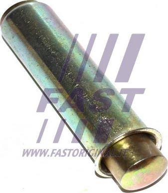 Fast FT44081 - Натяжной ролик, зубчатый ремень ГРМ autosila-amz.com