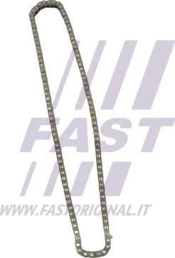 Fast FT41808 - Цепь привода распредвала autosila-amz.com