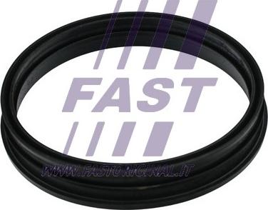 Fast FT48505 - Прокладка, датчик уровня топлива autosila-amz.com
