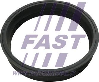 Fast FT48501 - Прокладка, датчик уровня топлива autosila-amz.com