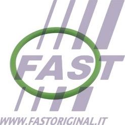 Fast FT48803 - Прокладка, впуск в турбину (компрессор) autosila-amz.com
