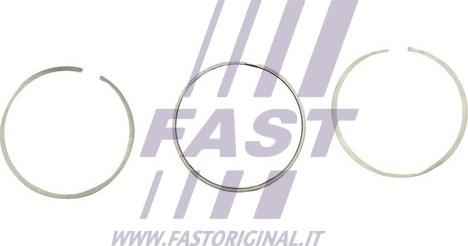 Fast FT47393/0 - Комплект поршневых колец autosila-amz.com
