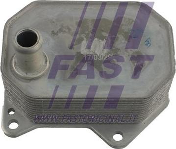 Fast FT55414 - Масляный радиатор, двигательное масло autosila-amz.com