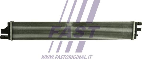 Fast FT55210 - Радиатор, охлаждение двигателя autosila-amz.com