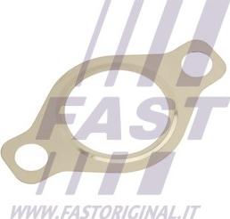 Fast FT50618 - Прокладка, клапан возврата ОГ autosila-amz.com