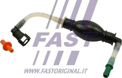 Fast FT53046 - Топливный насос autosila-amz.com