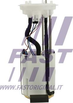 Fast FT53043 - Топливный насос autosila-amz.com