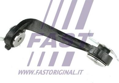 Fast FT52066 - Подушка, опора, подвеска двигателя autosila-amz.com