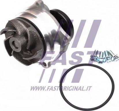 Fast FT57165 - Водяной насос autosila-amz.com