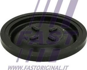 Fast FT60101 - Мембрана, вентиляция картера autosila-amz.com
