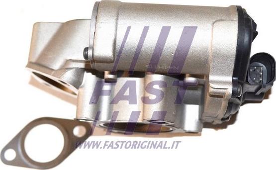Fast FT60206 - Клапан возврата ОГ autosila-amz.com