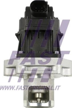 Fast FT60234 - Клапан возврата ОГ autosila-amz.com
