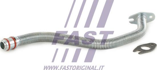Fast FT61465 - Масляный шланг autosila-amz.com