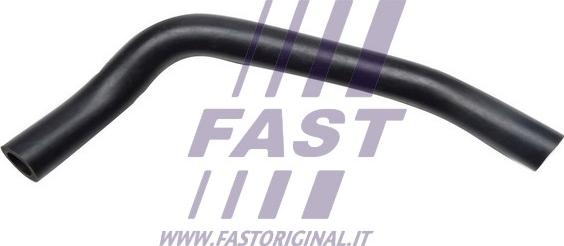 Fast FT61806 - Шланг, система подачи воздуха autosila-amz.com