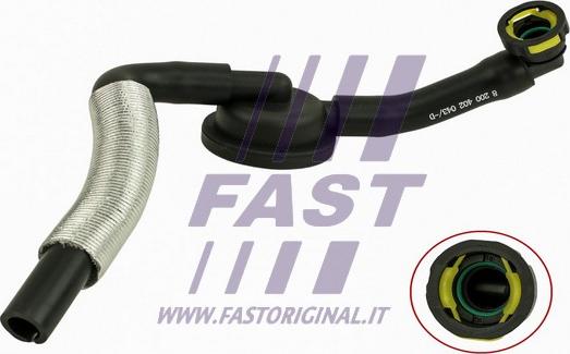 Fast FT61872 - Масляный шланг autosila-amz.com