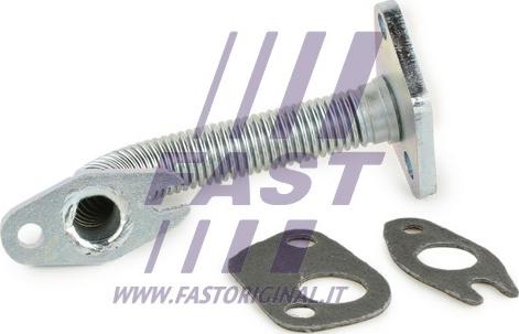 Fast FT61317 - Масляный шланг autosila-amz.com