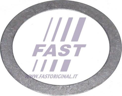 Fast FT62442 - Подкладная пластина, фланец приводного вала autosila-amz.com