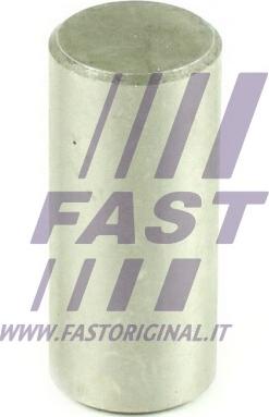 Fast FT62472 - Осевая шестерня, уравнив. конич. зубч. колесо - дифференциал autosila-amz.com
