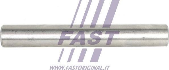 Fast FT62063 - Осевая шестерня, уравнив. конич. зубч. колесо - дифференциал autosila-amz.com