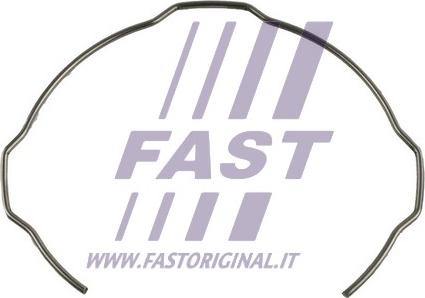 Fast FT62004 - FAST СТОПОРНАЯ ПРУЖИНА СИНХРОНИЗАТОРА FIAT DUCATO 06>/ 14> autosila-amz.com