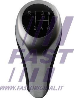 Fast FT09042 - Ручка рычага переключения передач autosila-amz.com