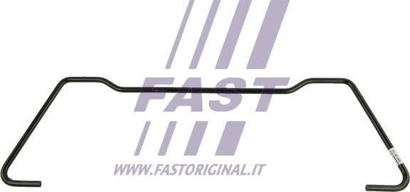 Fast FT15960 - Стабилизатор, ходовая часть autosila-amz.com