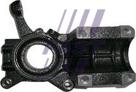 Fast FT13513 - Поворотный кулак, подвеска колеса autosila-amz.com