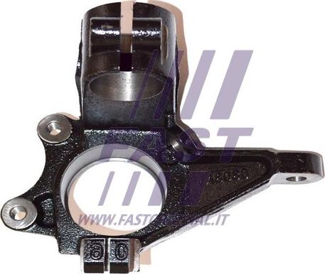 Fast FT13524 - Поворотный кулак, подвеска колеса autosila-amz.com