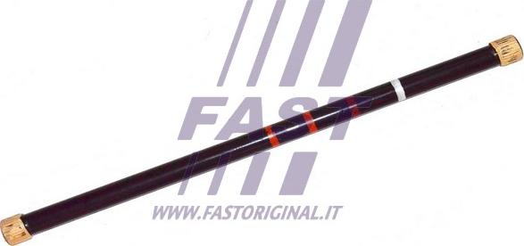 Fast FT13525 - Несущий рычаг, торсион autosila-amz.com