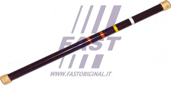 Fast FT13526 - Несущий рычаг, торсион autosila-amz.com