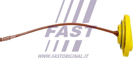 Fast FT80309 - Указатель уровня масла autosila-amz.com