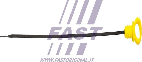 Fast FT80305 - Указатель уровня масла autosila-amz.com