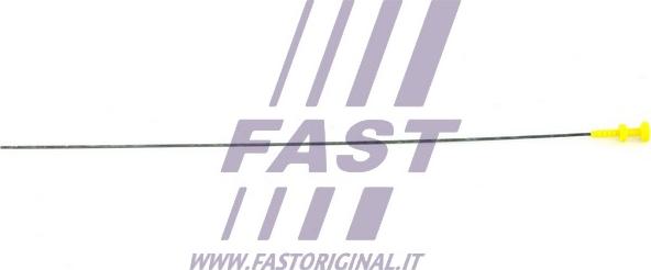 Fast FT80301 - Указатель уровня масла autosila-amz.com