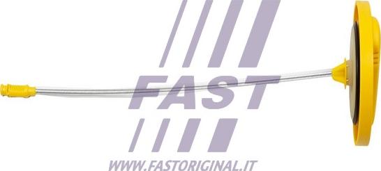 Fast FT80302 - Указатель уровня масла autosila-amz.com