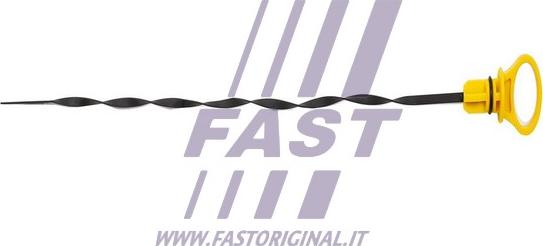 Fast FT80310 - Указатель уровня масла autosila-amz.com