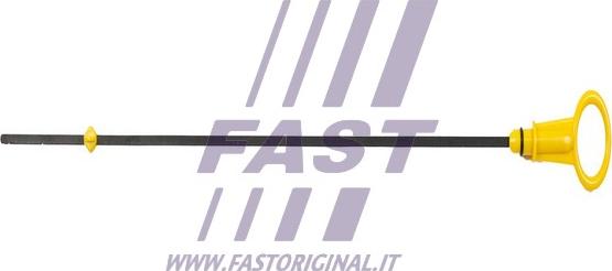 Fast FT80313 - Указатель уровня масла autosila-amz.com