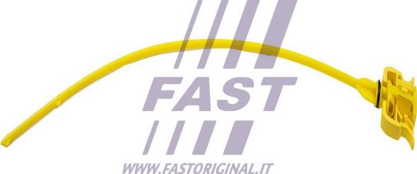 Fast FT80330 - Указатель уровня масла autosila-amz.com