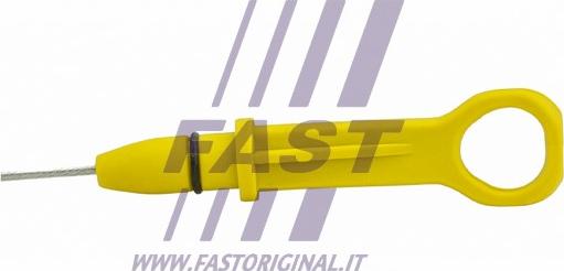 Fast FT80333 - Указатель уровня масла autosila-amz.com